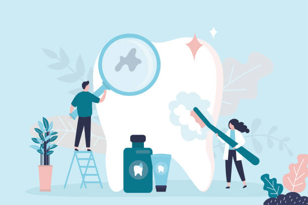 Best Preventive Dentistry  in Brook Park, OH
